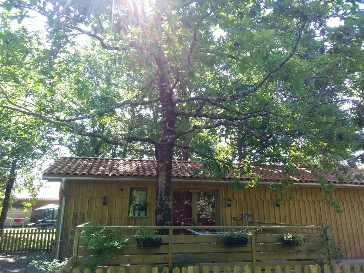 La Grange Et Le Nid Biscarrosse Exterior foto